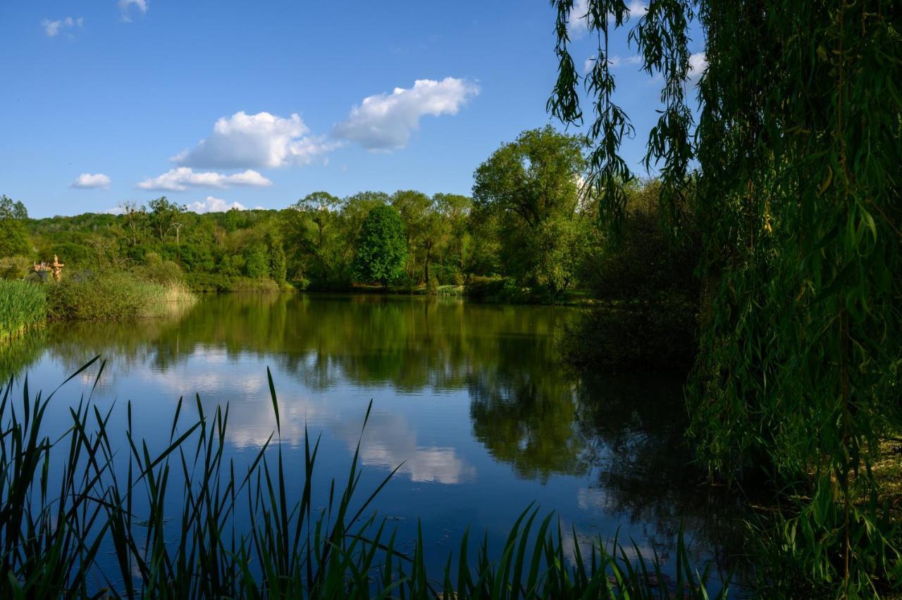 Отель Domaine De Lardoisiere Chateau-Salins Экстерьер фото